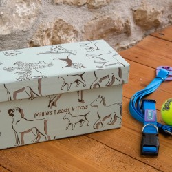 Pet Accessory Box - Dogs