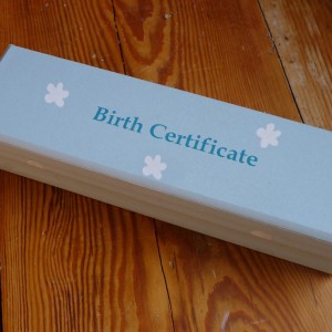 Birth Certificate Box - Simple Flowers Blue